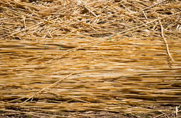 تصویر 3 از خرید حصیر بافی با نی و قیمت فروش استثنایی